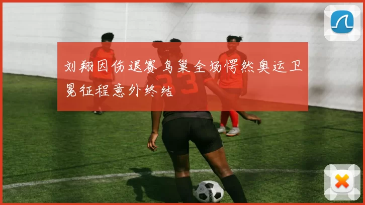 刘翔因伤退赛鸟巢全场愕然奥运卫冕征程意外终结