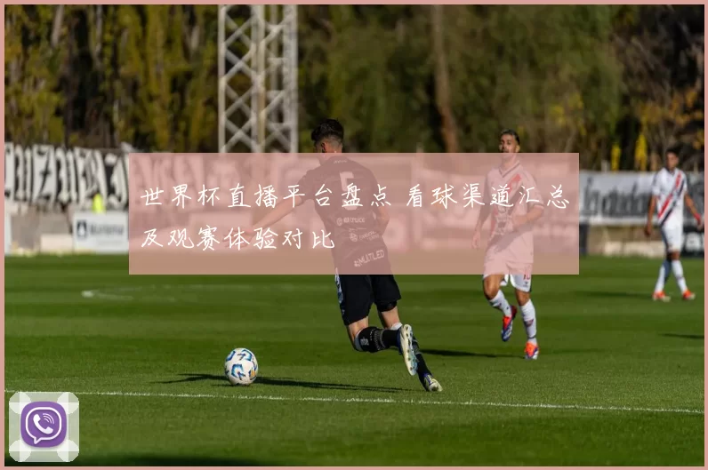 世界杯直播平台盘点 看球渠道汇总及观赛体验对比