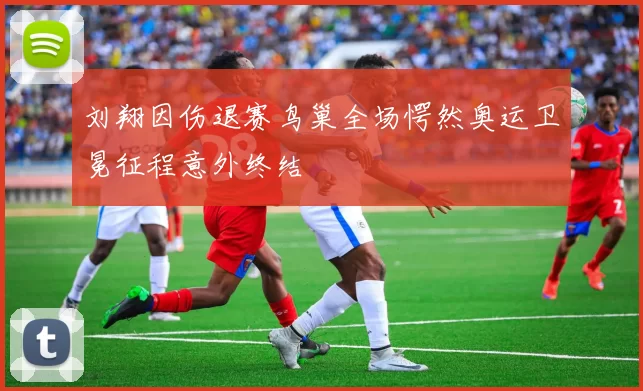 刘翔因伤退赛鸟巢全场愕然奥运卫冕征程意外终结